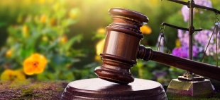 Gesetze und Vorschriften