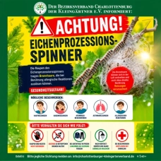 Eichenprozessionsspinner